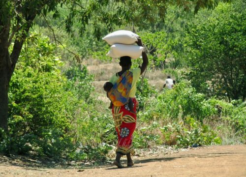GGEM-Farming-women-carrying-sacks-rice